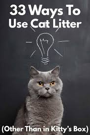33 ways to use cat litter other than