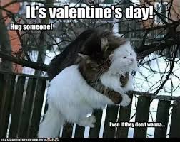 Here 75 sweetly funny valentines day memes we gathered for you. What Are Some Of The Best Valentine S Day Memes Quora