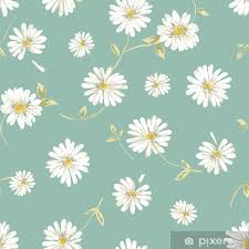 poster pretty daisy seamless background