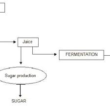 Flow Chart For Bioethanol Energy And Sugar Production From