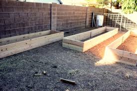 how to build raised garden boxes