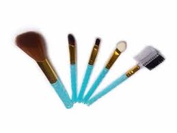 plastic makeup brush set packaging