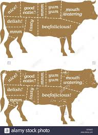 Barbecue Cow Butchers Chart Vector Design Humorous Take On