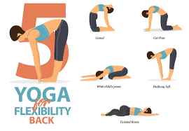 the 5 best yoga poses for back pain