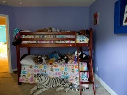 Bunk Bed With Paint And Drapery Panels
