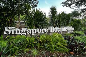 botanical gardens in singapore unesco