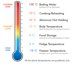 Danger Zone Food Temperature Chart Uk Bedowntowndaytona Com