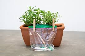 self watering planter diy for