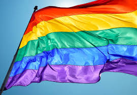 Las cinco noticias más leídas. Todo Sobre La Marcha Virtual Del Orgullo Gay 2020