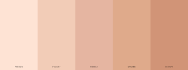 Most Common Human Skin Tone Colors Blog Schemecolor Com