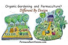 permaculture design principles best