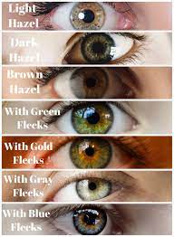 color of your hazel eyes