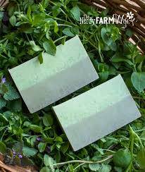 herbal soap without handling lye