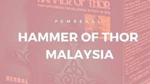 Hammer of thor, produk peningkatan lelaki yang terbaik di pasaran! Hammer Of Thor Original Malaysia Supplier Jom Dapatkan Hammer Of Thor Original