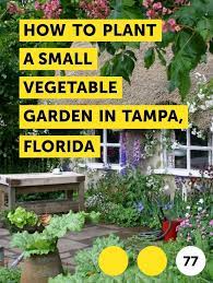 small vegetable gardens