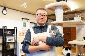 自分より猫が大事な猫カフェ店主の暮らし これまで救った猫は1000匹以上 | PRESIDENT Online（プレジデントオンライン）