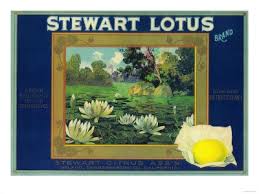 Stewart Lotus Lemon Label Upland Ca
