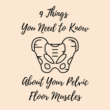 your pelvic floor muscles