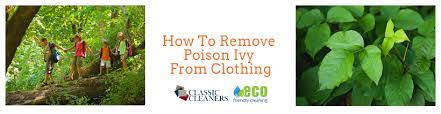 how to remove poison ivy from clothing