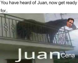 We did not find results for: Juan Cena Memes