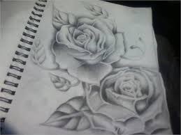 free 10 rose drawings in ai