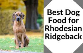 Best Dog Food For Rhodesian Ridgeback African Lion Hound
