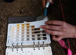 An Archaeologist Using The Munsell Soil Color Chart As A