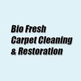 13 best st louis carpet cleaners