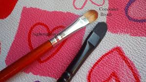 makeup brush guide high on gloss