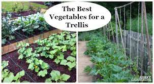the best vegetables for a trellis for