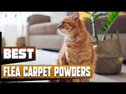 best flea carpet powder in 2024 top