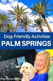 dog friendly things to do in palm desert