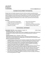 A Resume Template For A Business Developer You Can Download