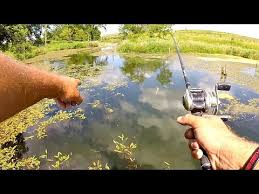 All the ponds presented in this blog are open to bass fishing in the spring. Fishing Videos Around The World Best Video Channels