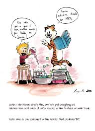Published december 15th 2018 by independently published. Gift Calvin And Hobbes By Eikomakimachi On Deviantart
