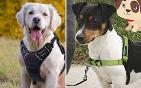 Want An Easy Walk Dog Harness Check Out Our 3 Top Options Today