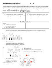 Interpreting a human pedigree answer key worksheets. Human Pedigree Analysis Key Wrb6sl Human Pedigree Analysis Problem Sheet Name Blk There Are A Number Of Different Types Of Human Pedigrees That Course Hero