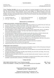 Resume Templates Career Change Combination Resume Examples Career