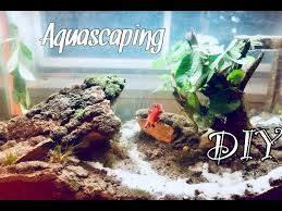 Maybe you would like to learn more about one of these? Diy Fish Tank Decorations Aquascaping