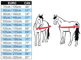 Horse Blanket Chart