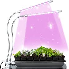 Top of list is they have the highest energy for your plants. Amazon Com Brite Labs Led Plant Lights For Indoor Plants 20w Dual Head Led Grow Lights For Seedlings Adjustable Gooseneck Growing Plant Lamp With Clip On Desk Clamp And Programmable Timer Allows Auto