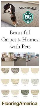 the best pet friendly carpet choice