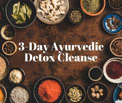3 day ayurvedic detox cleanse villa