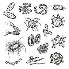 Norovirus is a very contagious virus that causes vomiting and diarrhea. Bacteria And Virus Cell 427665 Vector Art At Vecteezy