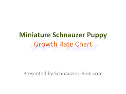 Preview Pdf Miniature Schnauzer Puppy Growth Rate Chart 7