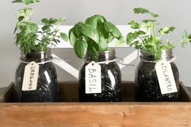 Diy Indoor Herb Garden How To Make