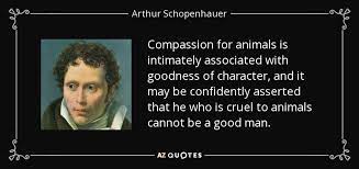 Don't forget to confirm subscription in your email. Top 25 Animal Compassion Quotes Of 95 A Z Quotes