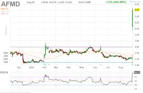 Affimed Therapeutics Continued Upside Ahead Affimed N V