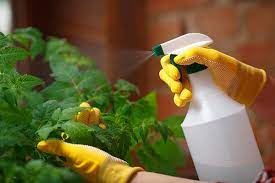 how to make organic pesticide easily at