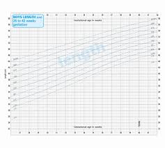 10 Army Height And Weight Chart Female Resume Samples